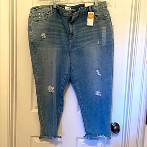 *NWT* Lane Bryant signature fit boyfriend capri, sz. 20